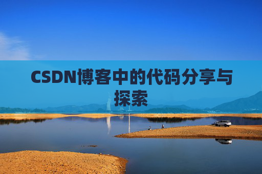 CSDN博客中的代码分享与探索